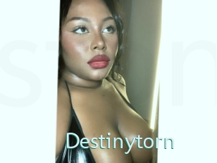 Destinytorn