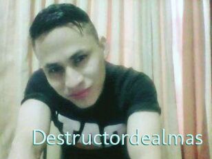 Destructordealmas