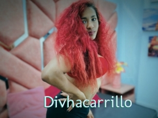 Divhacarrillo