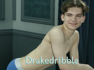 Drakedribble