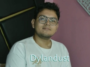 Dylandust