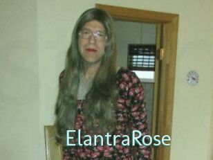 Elantra_Rose Straponles
