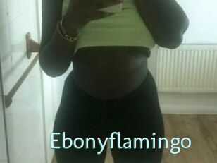 Ebony_flamingo
