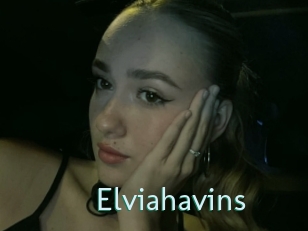 Elviahavins