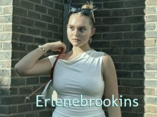 Erlenebrookins