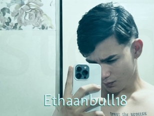 Ethaanbull18