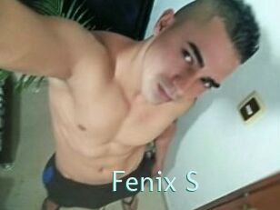 Fenix_S