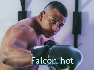 Falcon_hot