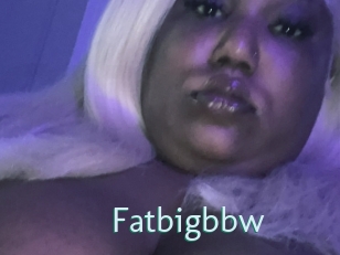 Fatbigbbw