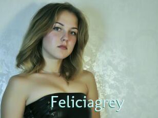 Feliciagrey