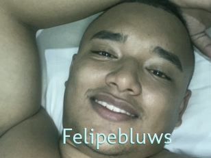 Felipebluws