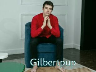 Gilbertpup