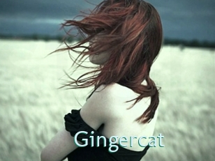 Gingercat