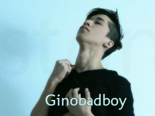 Ginobadboy