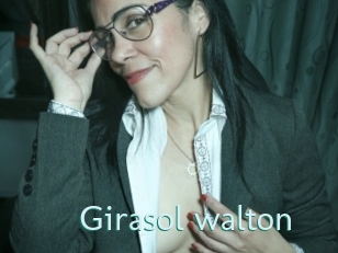 Girasol_walton