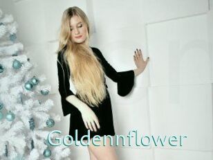 Goldennflower