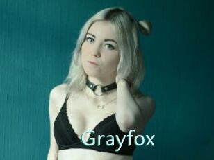 Grayfox