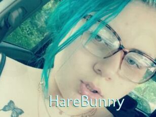 HareBunny
