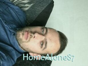 HomeAlone87