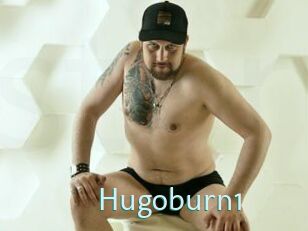 Hugoburn1