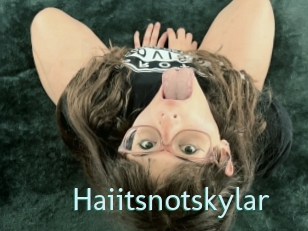 Haiitsnotskylar