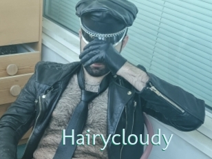 Hairycloudy