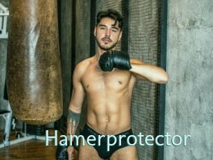 Hamerprotector