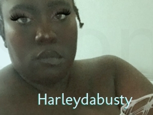 Harleydabusty