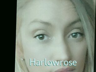 Harlowrose