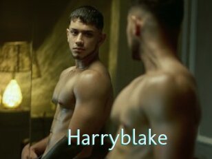Harryblake