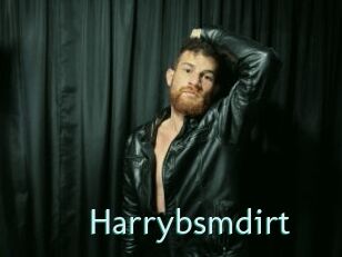 Harrybsmdirt