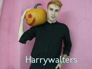 Harrywalters