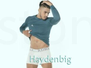 Haydenbig