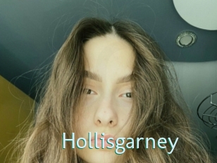 Hollisgarney