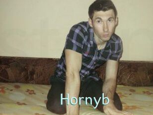 Hornyb