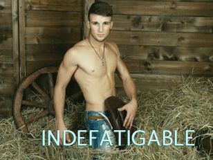 INDEFATIGABLE