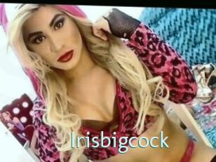 Irisbigcock