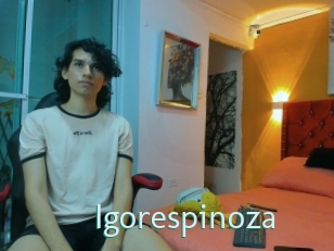 Igorespinoza