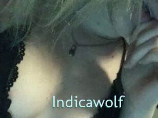 Indicawolf