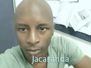 Jacaranda