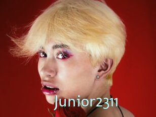 Junior2311
