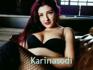 Karinasodi