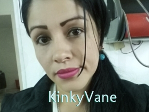 KinkyVane