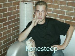 Kanesteep