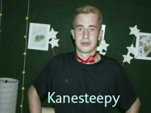 Kanesteepy