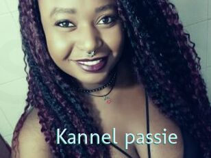 Kannel_passie