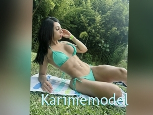 Karimemodel