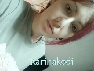 Karinakodi