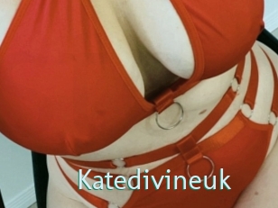 Katedivineuk