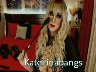 Katerinabangs